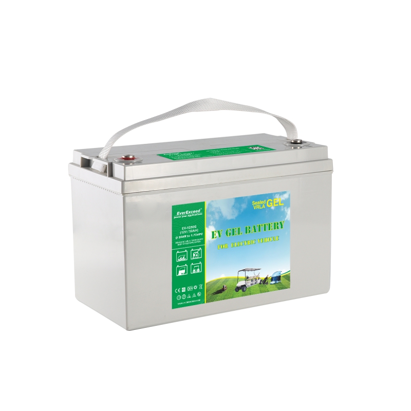 EV GEL Range Battery