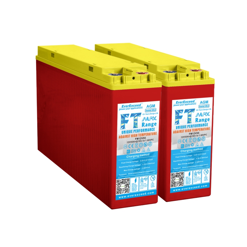 FT Max Range VRLA Battery
