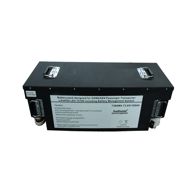 UL Approval AGV Lithium Iron Phosphate (LiFePO4) Solution