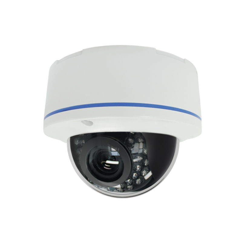 AI Face recognition Dome IP Camera
