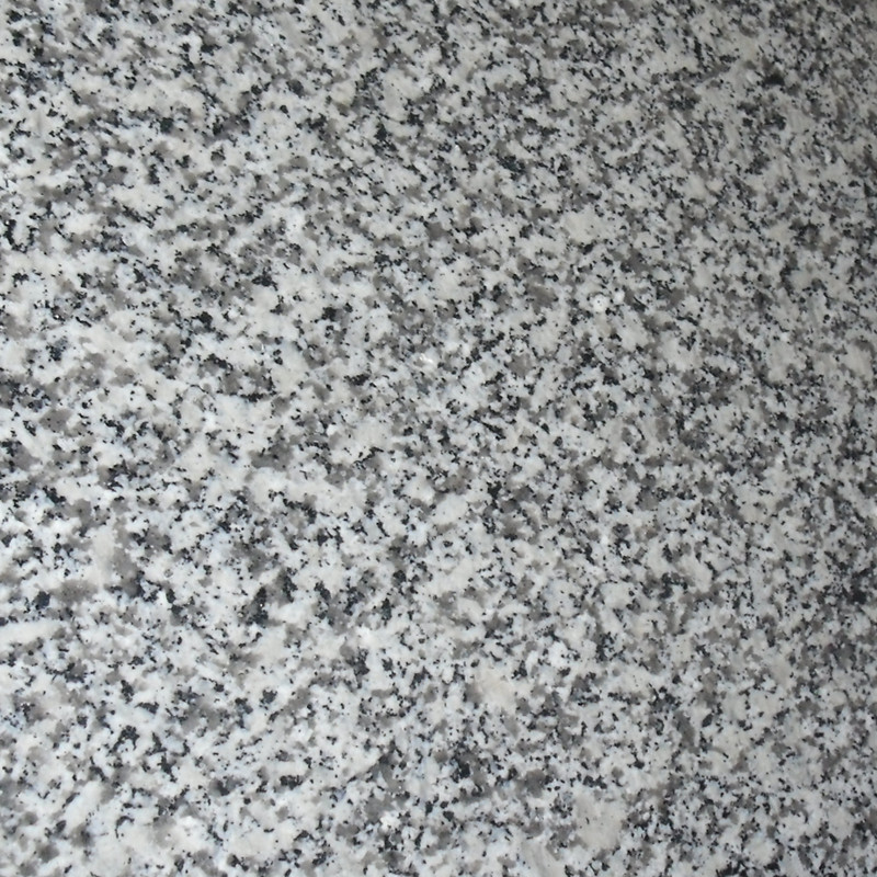 China G439 Bella White Granite