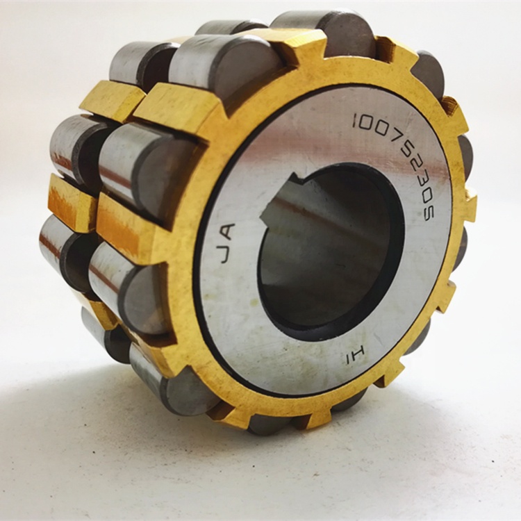 100752307 Eccentric Bearing